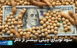 سود لوبیای چیتی بیشتر از دلار