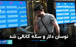 نوسان دلار و سکه کانالی شد